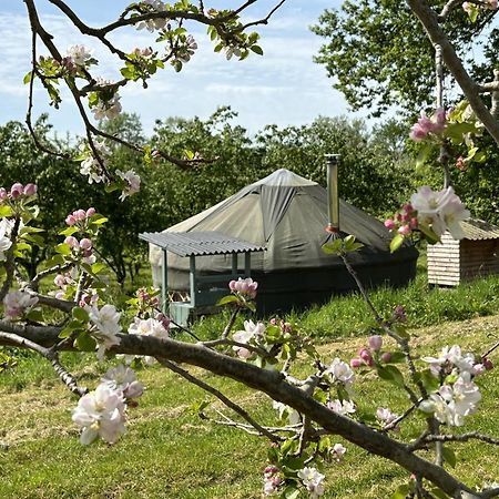Dragon Orchard Retreat Villa Ledbury Exterior foto