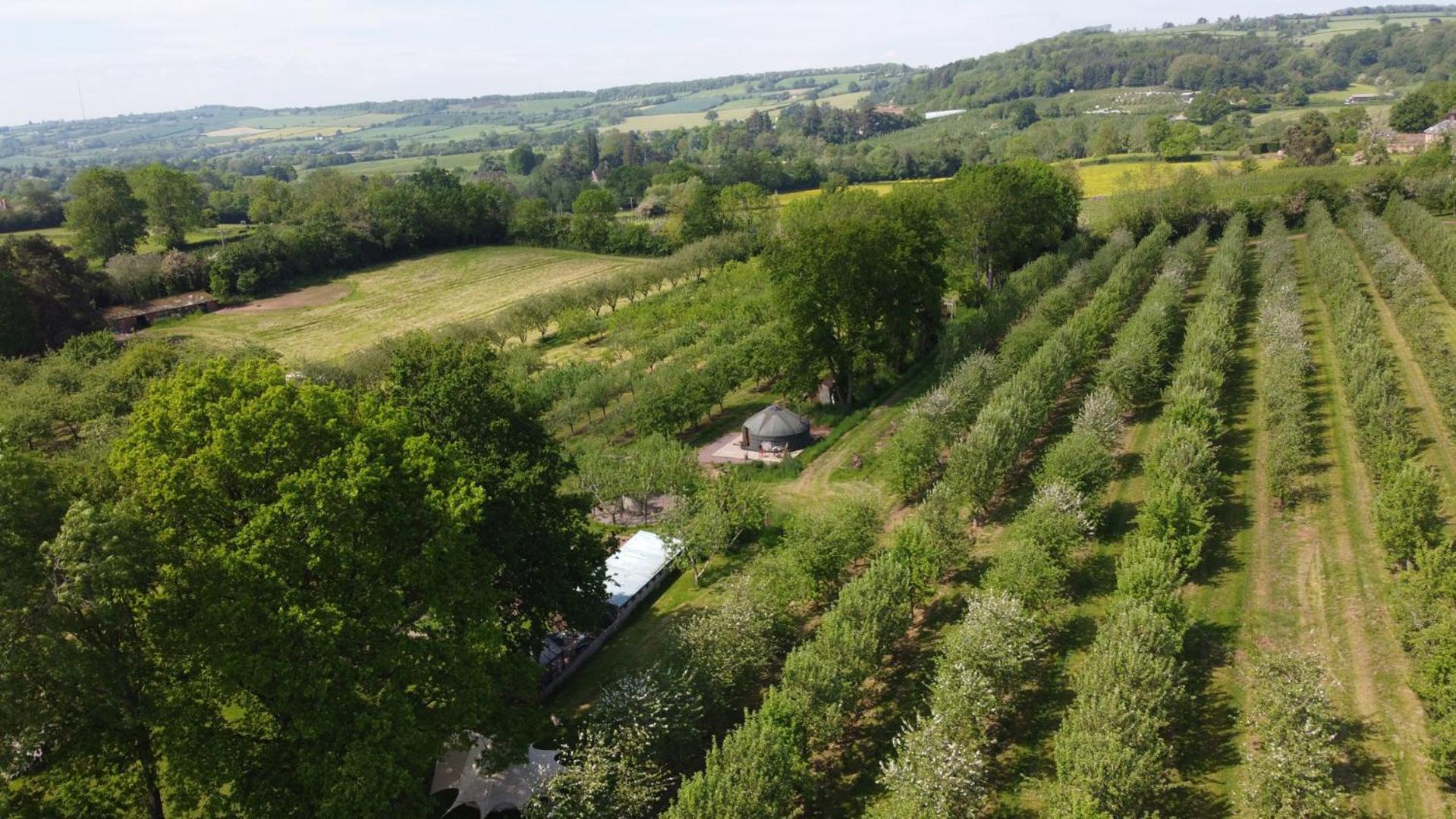 Dragon Orchard Retreat Villa Ledbury Exterior foto