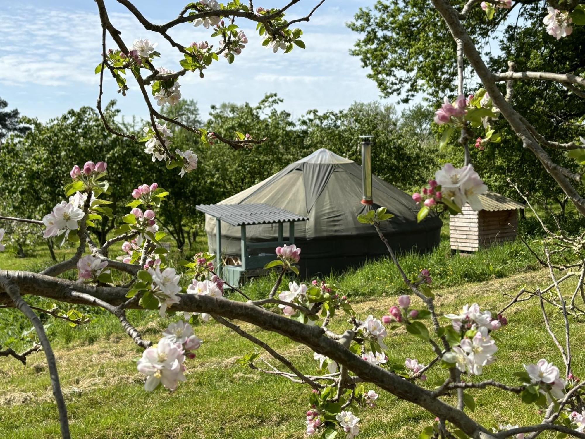 Dragon Orchard Retreat Villa Ledbury Exterior foto
